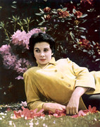 jean-simmons-mc23