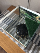 8AAE97FE-2847-4A07-AA8B-E98DC73CEA4D