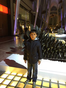 b6f495d79519cf33c3d6d547cf8cc149