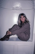 Valerie-Perrine-b06