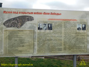 DSCN6982
