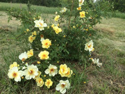 2F419E3F-9666-42A7-8D60-28DED2BF87EF