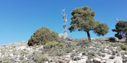 (29/02/2020) Sierra de El Carche El-carche-by-ASNOBIKE-15