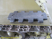 IMG-0250