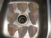 [Image: PIC-0150.jpg]