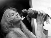 Eva-Marie-Saint-b39