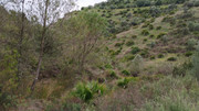 IMG-20251227-120736
