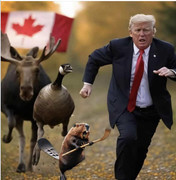Canadian-Fierce-Creatures-and-Donald-TACO-Putin-039-s-Poodle-Trump
