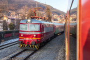 IMG-7565