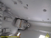 IMG-3431