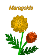 2024_09_09_0zr_Kleki (1)