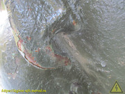 IMG-9296
