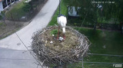 Kép