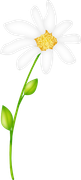 Yk-Easter-is-Coming-34
