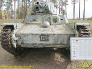 IMG-6374
