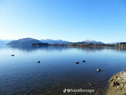 photo 11 2025 12 12 16 19 07