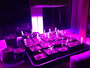 4CF2446A-CE0F-4F3C-A871-80F500A09320