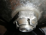 IMG-20211021-083159.jpg