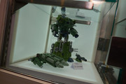 TFcon-2018-Third-Party-Display-023