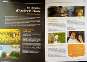 article