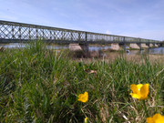 P-20220410-160059.jpg