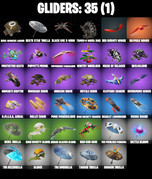gliders-comp