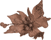 BC-ATaste-Of-Winter-El-100