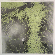 chelushkin-kirill-353631014-228528566696928-7770615672858978302-n