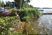 DSC-0081