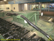 IMG-6981