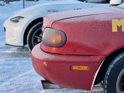 [Immagine: IMG_7310.jpg]