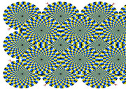 DSCN0440