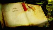 [Image: vlcsnap-2024-08-06-13h03m01s818.png]