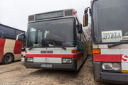 IMG-1565