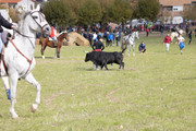 IMG-0038