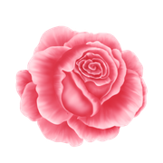 BIBI-PINK-ANGEL-ELEMS-34