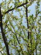 photo 13 2025 12 24 16 27 05