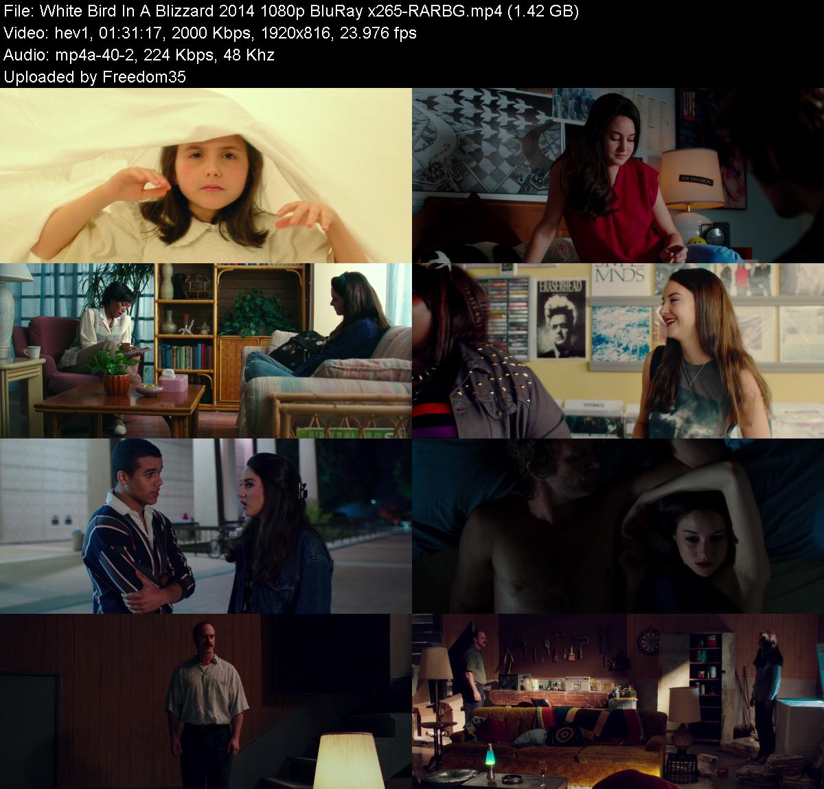 White-Bird-In-A-Blizzard-2014-1080p-Blu-