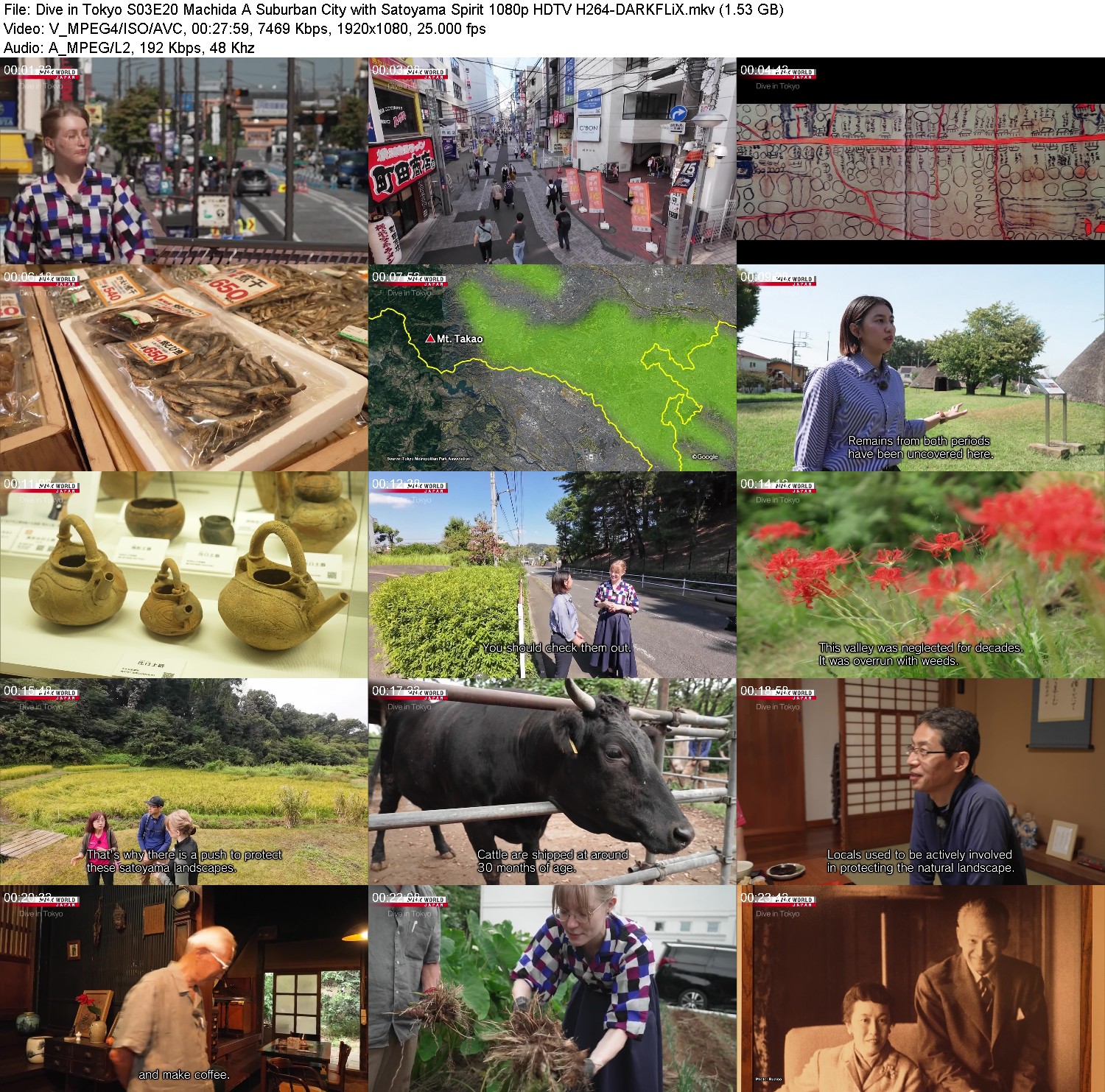 [Image: ddz82pf71pjw.jpg]