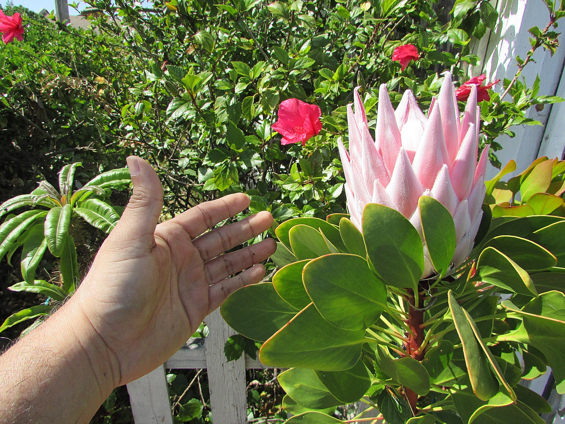 IMG 2099 — Postimages