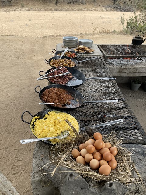 [Linked Image from i.postimg.cc]