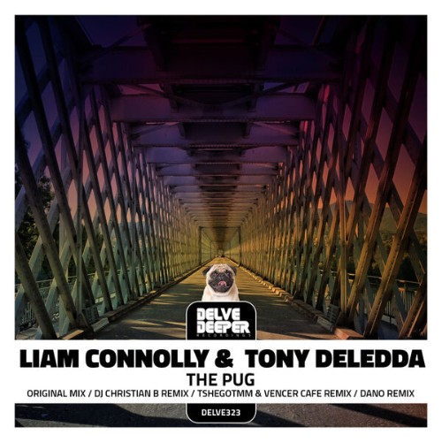 Liam-Connolly-The-Pug-DELVE323-WEB-2026-