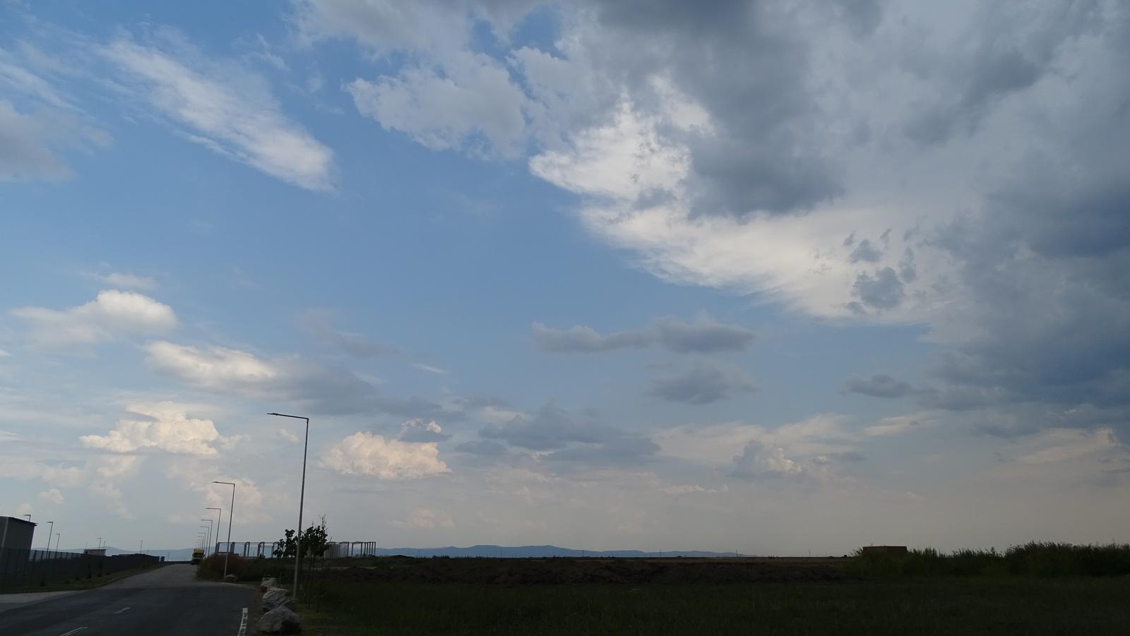 DSC01996.jpg