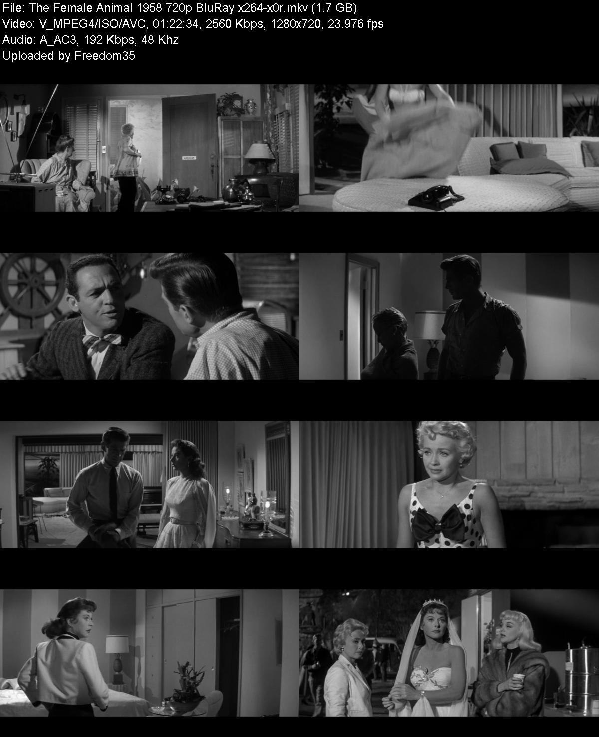 The-Female-Animal-1958-720p-Blu-Ray-x264