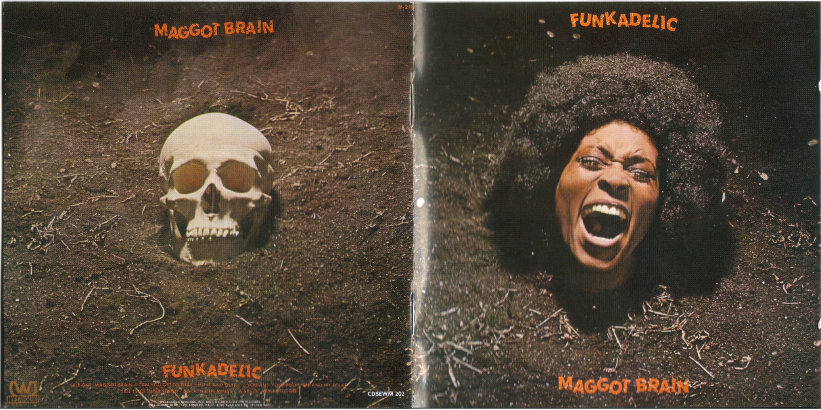 Maggot-Brain.jpg