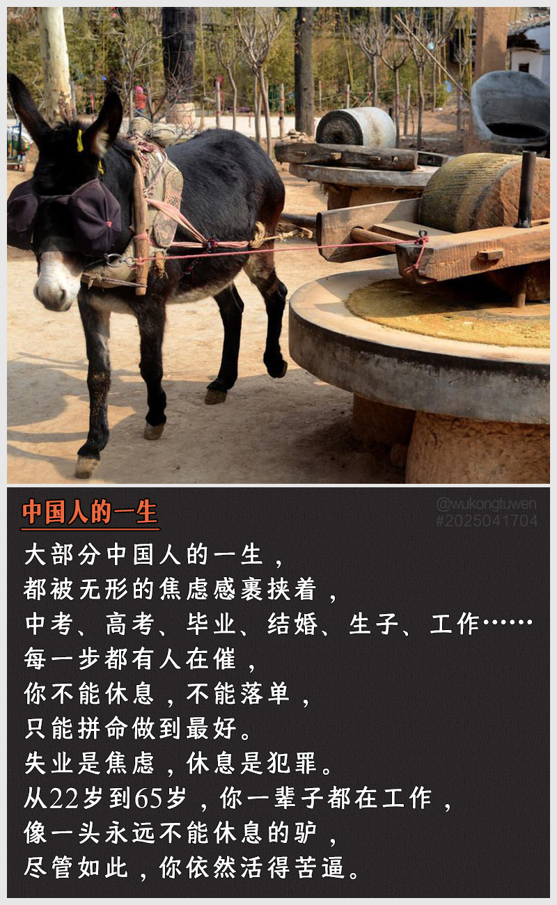 https://i.postimg.cc/WNS9QcBt/2025041704.jpg
