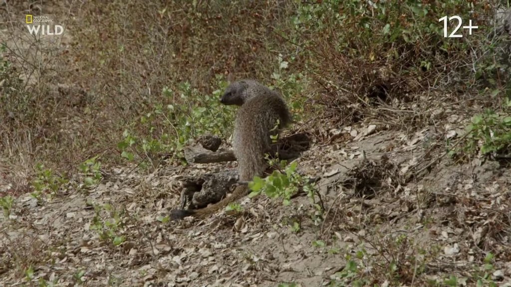 [Image: 6r9y9gfqb3en.jpg]