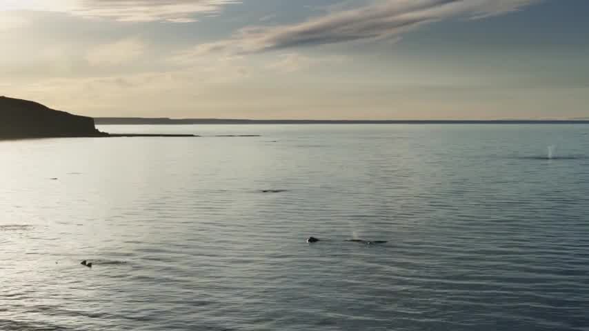 [Image: 612pg6hfmkzu.jpg]