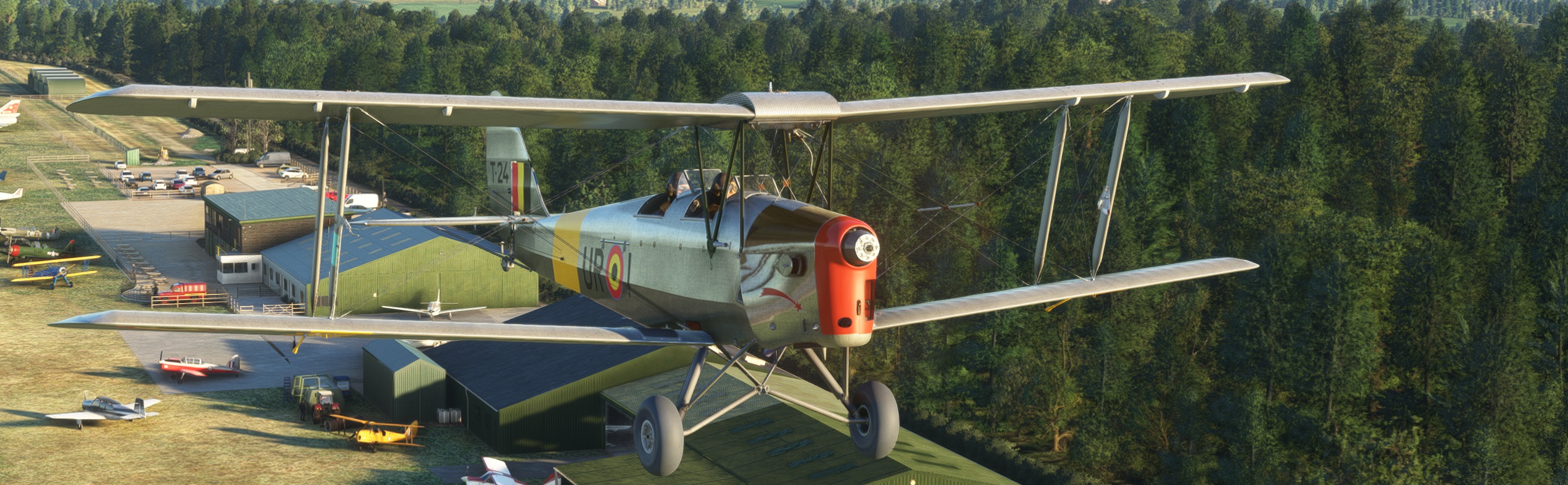 1-Sqn-Tiggie-CA.jpg