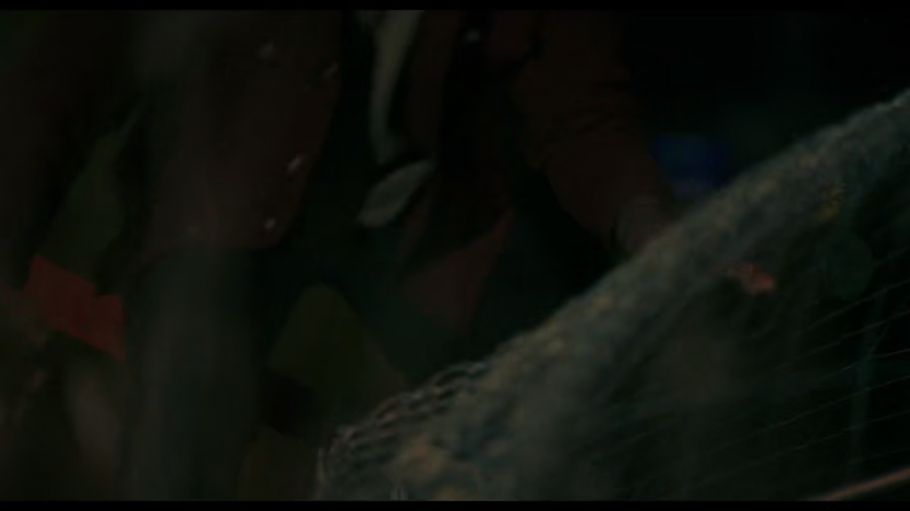 [Image: 82ne4cp1tfgy.png]